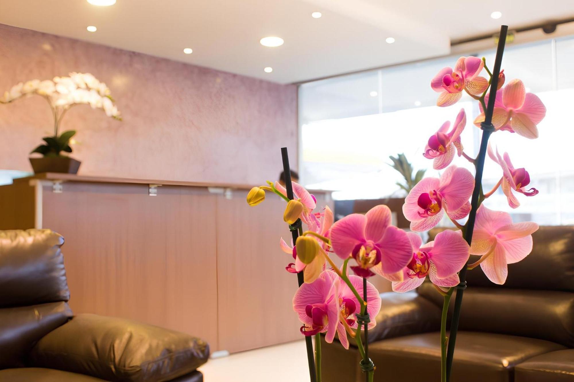 Hotel Toyo Inn 博伊图瓦 外观 照片
